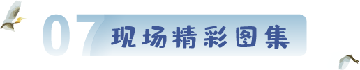 現場圖集